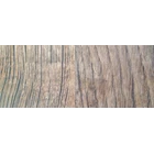 Wooden Floor Dream Wood Wild Oak 1