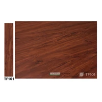 Vinyl Flooring 3mm Terra Floor TF 101/m2